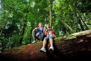 Best Places To Go For Holiday In Malaysia