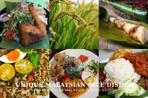 Unique Malaysian Rice Dishes To Enjoy in Malaysia
