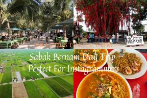sabak-bernam-day-trip