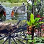 7 Best Petting Zoos and Farms in Selangor